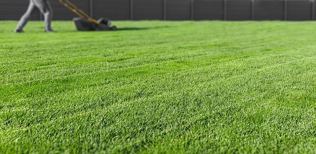 The Benefits of Lawn Fertilization for Alabaster, AL