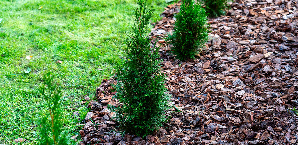 Fall landscaping in Alabama