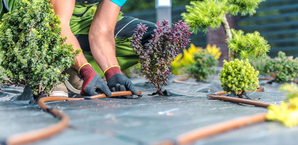 Don't Wait Until Spring to Start Planning Your Landscape Projects