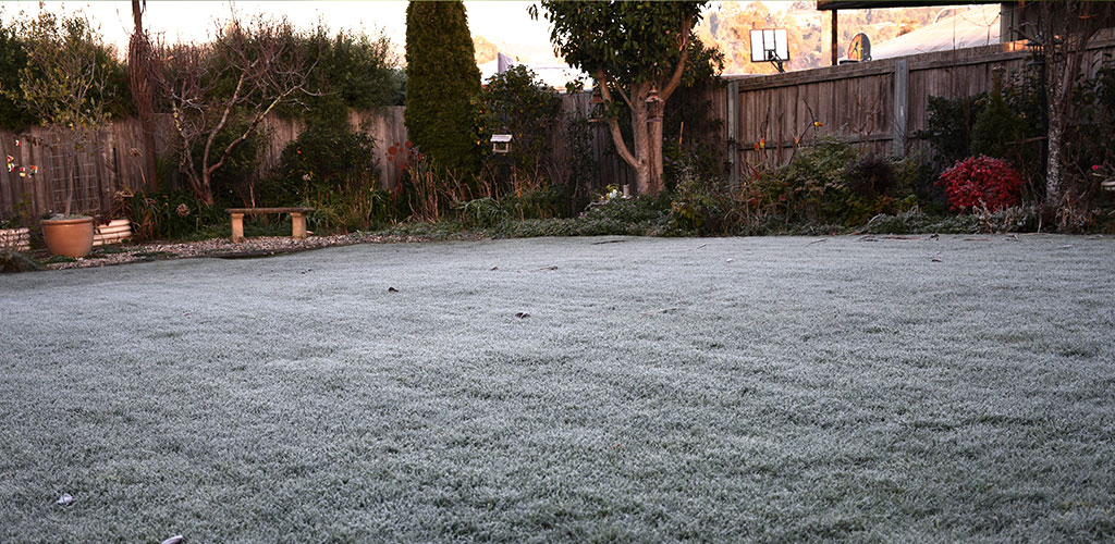 Protect Your Lawn and Landscape from the Upcoming Alabama Freeze