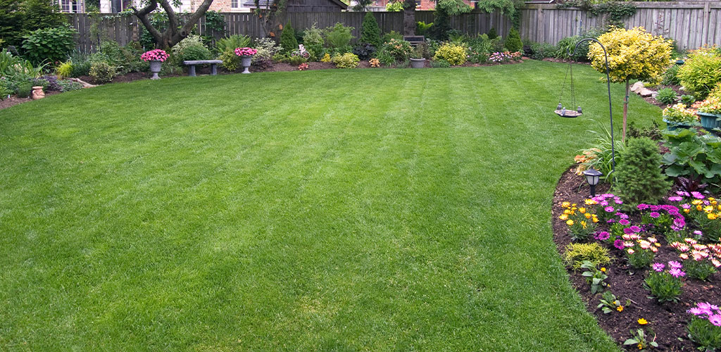 Lawn Care Myths Busted