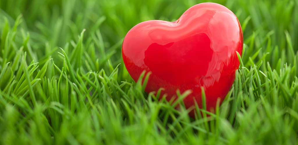 Show Your Lawn Some Love This Valentine’s Day