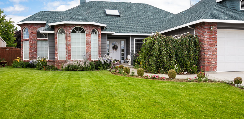 The Truth About Bagging vs. Mulching Your Clippings