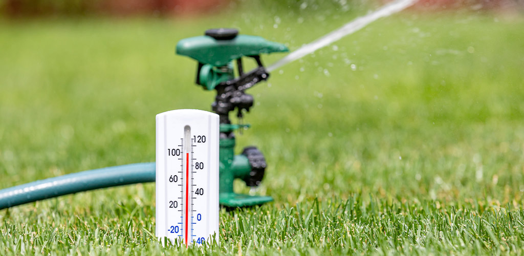 How to Keep Your Lawn Alive Through Alabama's Brutal Summer