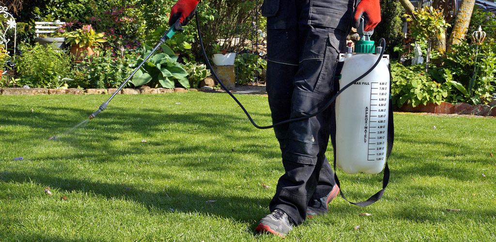 Late Summer Lawn Weeds in Alabama: What to Watch For & How to Control Them