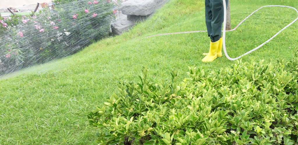 Fall Pre-Emergent in Alabama: Stop Weeds Before They Start