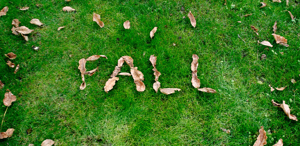 September is the turning point for Alabama lawns. The heat starts to fade, winter weeds are about to germinate, and the steps you take now will decide how your yard looks next spring. Whether you’re in Trussville, Birmingham, Hoover, or the surrounding Central Alabama area, use this checklist to tune up your turf—or let Steven’s Wack-n-Sack handle it for you.