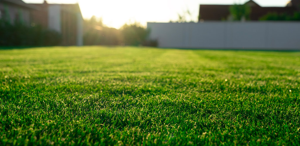 SoilTech Aeration in Alabama: The Fix for Compaction Before Winter