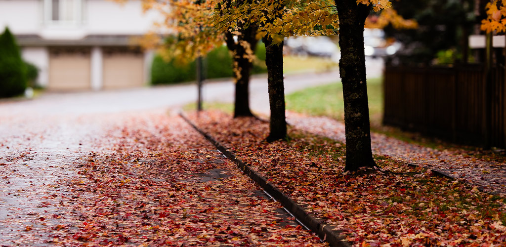 HOA Leaf Management for Small Neighborhoods in Birmingham, AL
