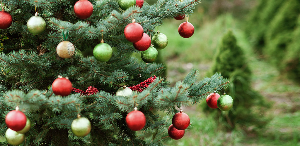 Merry Christmas from Steven’s Wack-n-Sack