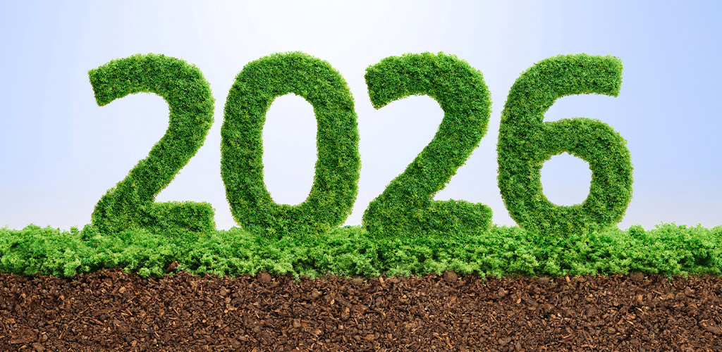 New Year lawn goals in Birmingham: clean front walk, tidy entry bed, winter light