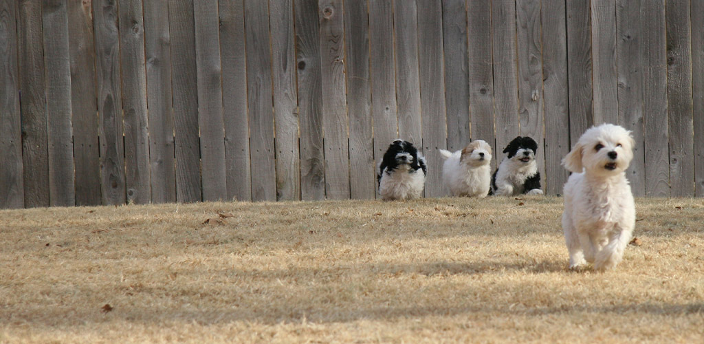 Winter Lawn Care in Alabama: What You Should (and Shouldn’t) Do in January