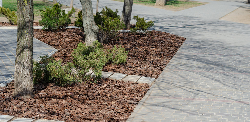 Winter Curb Appeal for Commercial Properties in Alabama