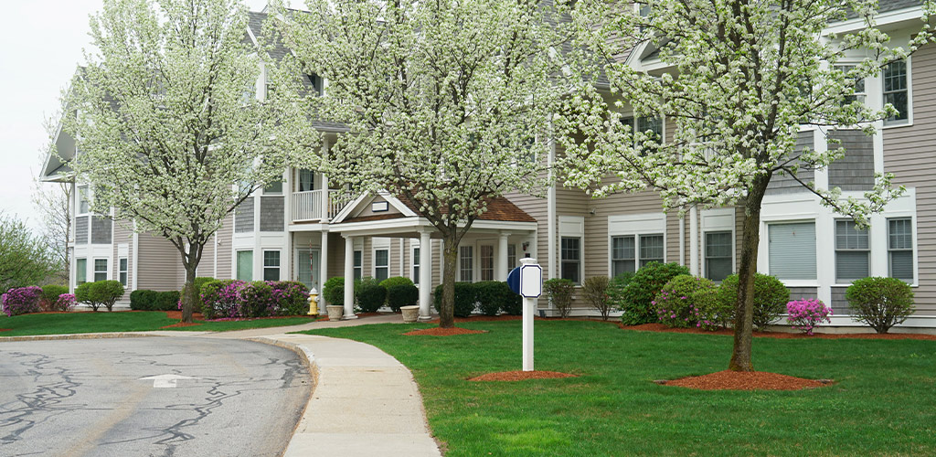 Commercial Landscaping in Birmingham, Alabama: Late Winter Planning for Property Managers