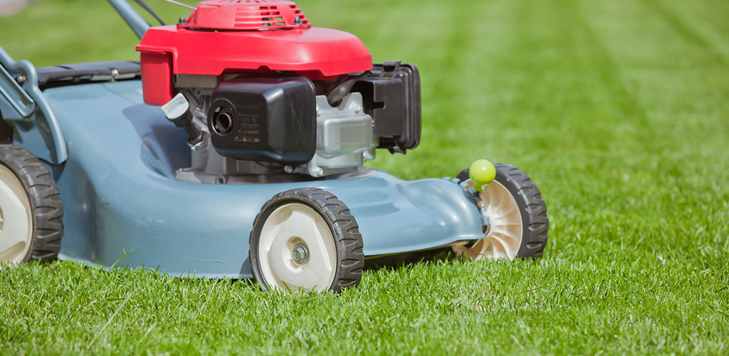 Freshly mowed residential bermuda grass lawn with clean stripes in Birmingham Alabama