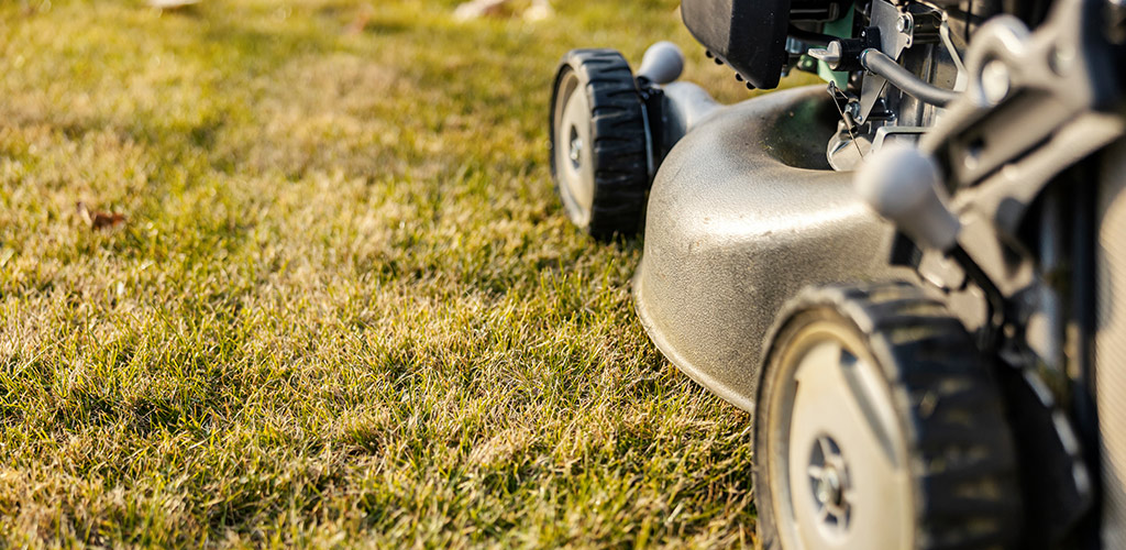 Residential lawn in Birmingham Alabama after a spring cut down showing clean low-cut bermuda turf