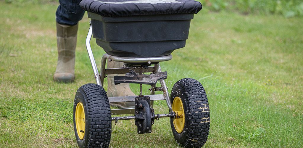 Lawn fertilizer being applied to green bermuda grass in a Birmingham Alabama yard