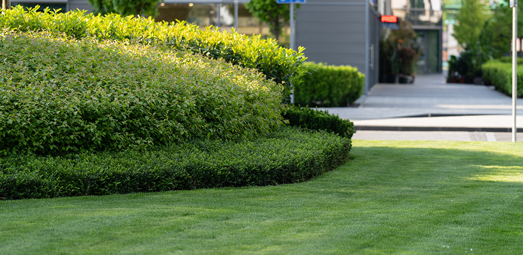 Well-maintained commercial property grounds with green turf and trimmed landscaping in Birmingham Alabama