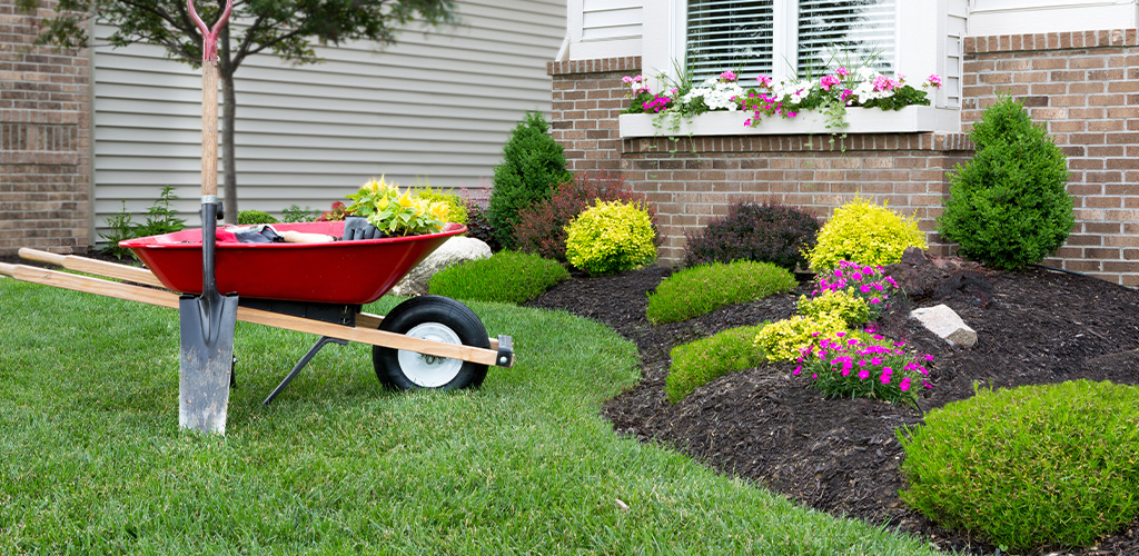 Well-maintained residential landscape bed with fresh mulch and summer annuals in Birmingham Alabama
