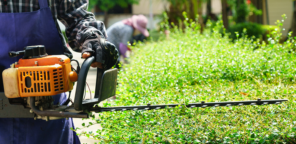 Maintained commercial property grounds with green turf and landscape beds in Birmingham Alabama