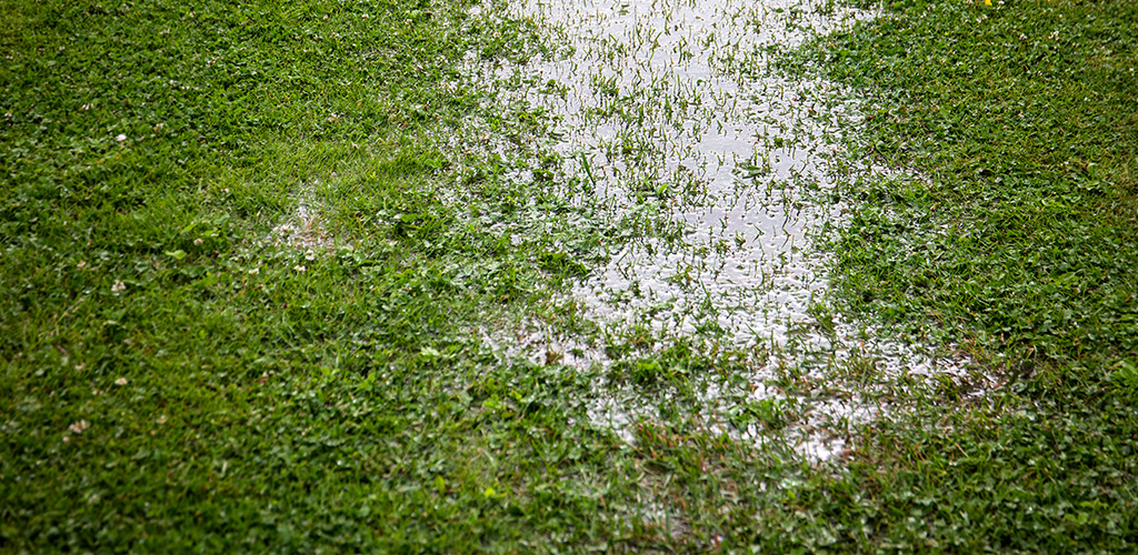 Standing water pooled in a residential lawn after heavy rain in Birmingham Alabama